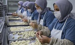 Adanalı Eczacıdan Mantı Üretimiyle 100 Kadına İş İmkanı