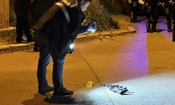 Adapazarı'nda Üç Sokak Boyunca Polisle Çatışan Şahıs Vurularak Yakalandı