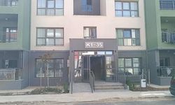 Adıyaman Besni'de Yavru Kedi Parçalanmış Halde Bulundu