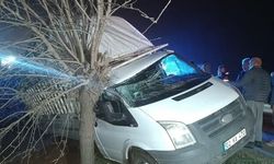 Adıyaman'da Kamyonet Şarampoldeki Ağaca Çarptı: 1 Yaralı