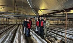 Afyonkarahisar'da Kiraz Bahçelerinde Don Nöbeti