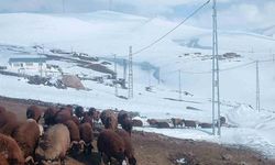 Ağrı'nın Gündoğdu Köyünde Nisan Ayında Yoğun Kar Yağışı Ulaşımı Engelledi