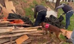 Aksaray'da Çuvalda 11 Bin Uyuşturucu Hap Ele Geçirildi, 3 Kişi Tutuklandı