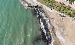 Alanya Sahilinde Oluşan Siyah Tabakanın Nedeni Deniz Çayırı Çıktı