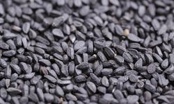 Anadolu'nun Şifa Kaynağı: Çörek Otunun Faydaları