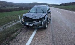 Ankara Beypazarı-Güdül Yolunda Geyik Araç Çarpması Sonucu Telef Oldu