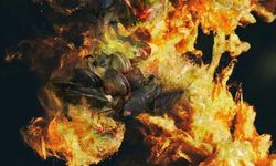 Antik Yunan'ın 'Altın Kumaşı' Deniz İpeği Yeniden Üretilecek