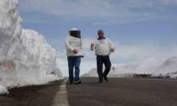 Arıcılar, Bülbülhan Geçidi'nin Kışın Açık Tutulması İçin Yetkililere Çağrıda Bulundu