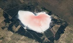 Arjantin'deki Pembe Gölün Renk Sırrı NASA Görüntüleriyle Ortaya Çıktı
