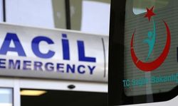 Artvin-Ardanuç yolunda panelvan ile kamyonet çarpıştı: 3 yaralı