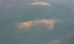 Avcılar Sahilinde Denizde Renk Değişimi ve Kirlilik Görüntülendi