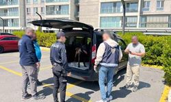 Avcılar'da Köpeğe Kötü Muamele Eden Şahıs Gözaltına Alındı