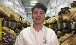 Avukat Salih Günaydın, Halasından Öğrendiği Mantar Yetiştiriciliğiyle Üretime Katkı Sağlıyor