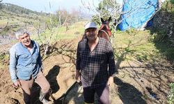 Aydın'da Gençlerin Göçü Tarımda Yaşlıları Zor Duruma Soktu