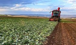 Bakan Yumaklı: Çiftçilere 13 Milyar TL Destek Ödemesi Bugün Hesaplarda