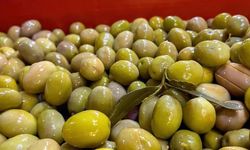 BAKTAT Zeytin'e 3 Aylık Geçici Mühlet Kararı