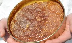 Bal Tebliği'nde Yeni Düzenleme: Uygunsuz Ürünlerin Piyasaya Girişi Zorlaşacak