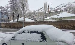 Başkale'de Nisan Ayında Yoğun Kar Yağışı