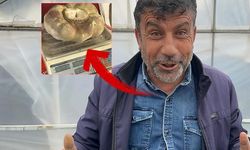 Batman Pazarında 4 Kiloluk Dev Turp İlgi Odağı Oldu