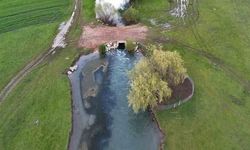 Beyşehir'in Apsıngır Ovası İlkbaharda Doğal Güzelliğiyle Büyülüyor