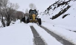 Bitlis'te Nisan Ayında Karla Mücadele Çalışmaları Sürüyor
