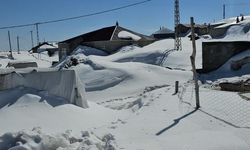 Bitlis'te Nisan Ayında Yoğun Kar Yağışı Hayatı Olumsuz Etkiliyor
