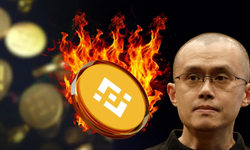 BNB Coin'in Yükseliş ve Düşüş Döngüsü