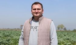 Bursa'da Kamu Görevlisi Ali Rıza Alan, Enginar Üretiminde Yurt Dışına Kadar Uzanan Talep Yaratıyor