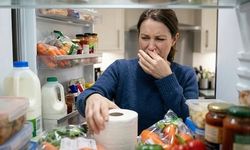 Buzdolabında Tuvalet Kağıdı Kullanımı: Kötü Kokulara Karşı Geçici Çözüm