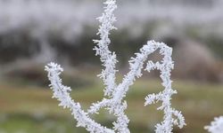 Çankırı'da 10-14 Nisan Tarihlerinde Zirai Don Uyarısı