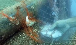 Denizlerden 416 Bin Metrekare Hayalet Ağ Temizlendi, 1,5 Milyon Deniz Canlısı Kurtarıldı