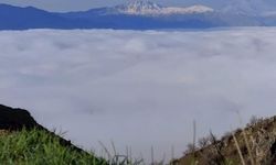 Diyarbakır'da Elyos Mahallesi Yoğun Sisle Kaplandı