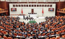 Doğum İzni Süresi 24 Haftaya Çıkıyor: TBMM'de 3 Yeni Madde Kabul Edildi