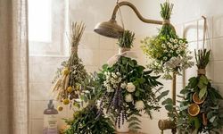 Duşta Asılan Bitkilerle Banyoda Doğal Aromaterapi