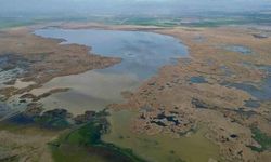 Eber Gölü'nde Su Seviyesi Yağışlarla Yükseldi