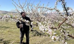 Elazığ'da Atıl Araziler Badem Bahçesine Dönüşüyor