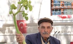 Elazığ'da 'Işkın' Tezgahlarda Yerini Aldı