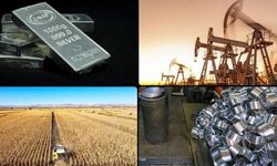 Emtia Piyasalarında Dalgalanma: Petrol Fiyatları Artarken Metaller Değer Kaybetti