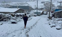 Erzurum, Kars ve Ardahan'da Kar Yağışı ve Soğuk Hava Etkisini Sürdürüyor