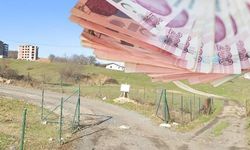 Eyüpsultan'da 300 Milyon TL Değerinde İki Tarla İhaleye Çıkıyor