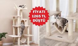 Feandrea XXL Tırmanma Ağacıyla Kedinizin Yeni Oyun ve Dinlenme Alanı