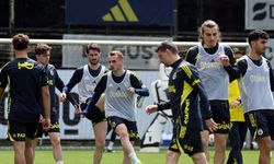Fenerbahçe'de Antrenman Raporu: Alvarez Takımla Çalıştı, Nene Tedavi Altında