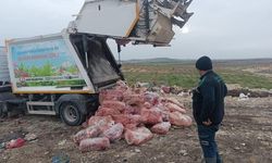 Gaziantep'te 1,6 Ton Sağlıksız Sakatat İmha Edildi