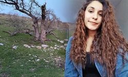 Gülistan Doku Soruşturmasında Mezarlıkta Şüpheli Boşluk Tespit Edildi