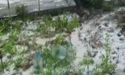 Hatay'da Dolu Yağışı Doğayı Beyaza Bürüdü