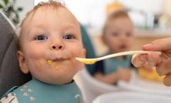 HiPP Bebek Mamalarında Fare Zehri Tespit Edildi