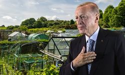 Hobi Bahçelerinde Yeni Düzenleme: Tarımsal Üretim Korunacak, Kaçak Yapılar Yıkılacak