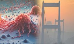 İstanbul'da Ozon Seviyesindeki Artış Kanser Riskini Yükseltiyor