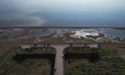 İznik Gölü'nde Su Seviyesi 300 Metre Çekildi, Bölge Halkı Endişeli