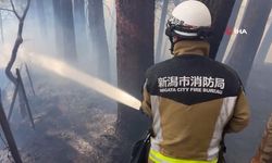 Japonya'da 1.618 Hektarlık Alan Yangında Zarar Gördü